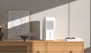 DTEX 3 in 1 Smart Humidity Machine