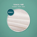 SINOMAX 天絲透氣記憶枕