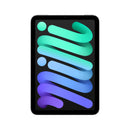 iPad mini Wi-Fi