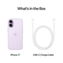iPhone 17