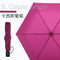 Amvel VERYKAL Umbrella