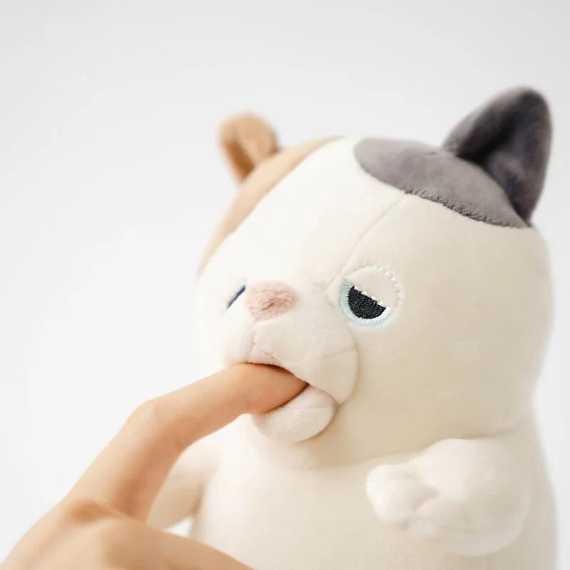 Amagami Ham Ham