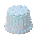 寵物蛋糕 原個電子禮券